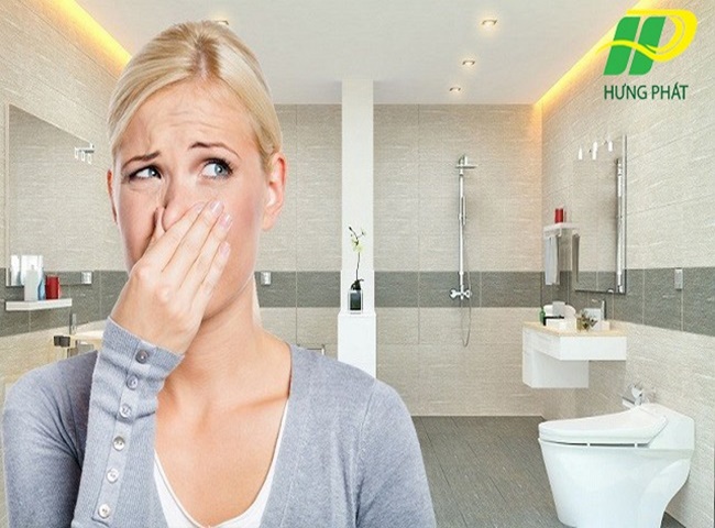 Nhà vệ sinh của bạn có mùi hôi