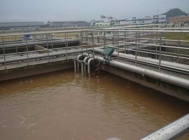 Công ty cung cấp bùn vi sinh quận 6 Thịnh Phát