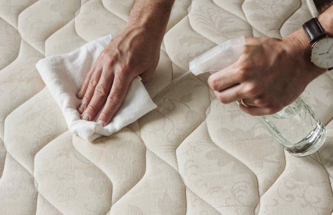 C&ocirc;ng ty cung cấp mọi dịch vụ l&agrave;m sạch nh&agrave; ở