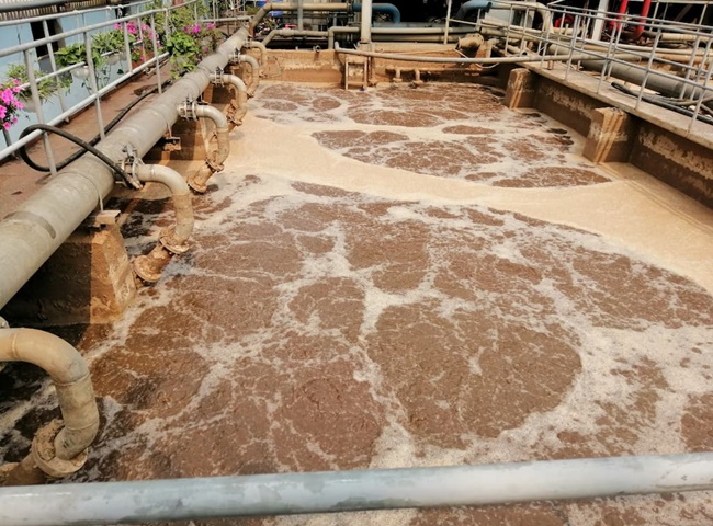 C&ocirc;ng ty cung cấp vận chuyển b&ugrave;n vi sinh quận 12 hiện đại