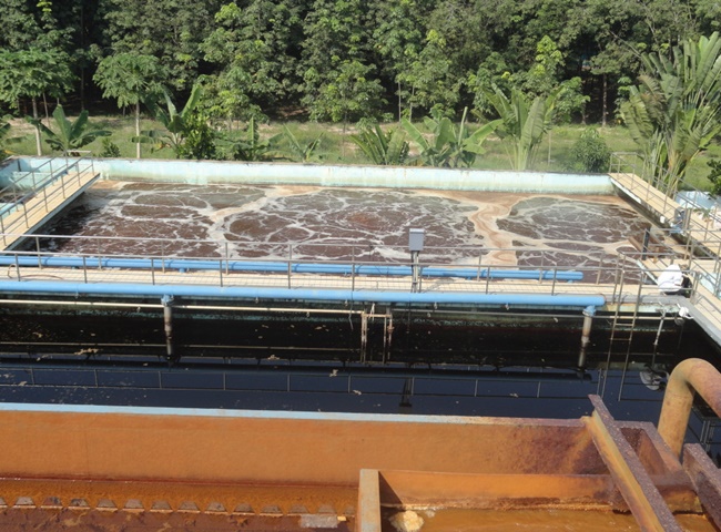 Dịch vụ cung cấp vận chuyển b&ugrave;n vi sinh quận 12 To&agrave;n Ph&aacute;t an to&agrave;n